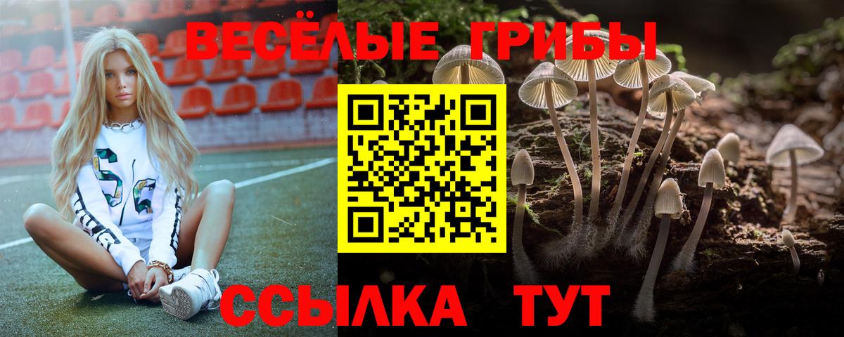 Галлюциногенные грибы Psilocybine cubensis  Вход с VPN  Дедовск 